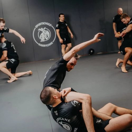 Grappling-Training bei Harrycane Luta Livre: Mehrere Paare üben Techniken auf der Matte in der Sportschule.