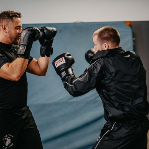 Zwei Männer trainieren Boxtechniken mit Fokus auf Präzision und Verteidigung in der Sportschule Harrycane in Herford.